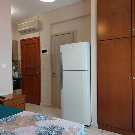 公寓 Athina 沃尔沃罗