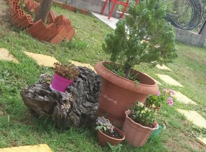 Athina Apartamento *